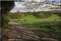TQ3770 : Green Chain Walk, Beckenham Place Park by Derek Harper