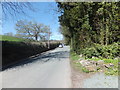 Looking west along the road into Selattyn