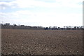 Farmland, Stanhill Farm