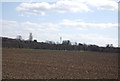 Mast rising from farmland