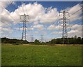 Pylons, Meadowlands Park