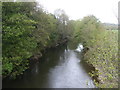 River Exe, Tiverton