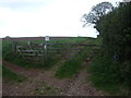 Gated farm track, West Pitt