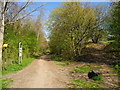 Trans Pennine Trail, Brinnington (3)