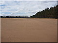 NT6478 : East Lothian Landscape : Open Field Covered By Wind-blown Sand, Hedderwick Hill by Richard West