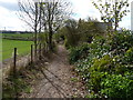 Ardblair trail footpath