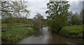 The River Darwen at Hoghton Bottoms