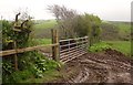 Field boundary by Coleford Hill