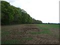 Farmland beside Roborough Plantation