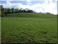 Farmland, Anderton