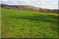 Farmland near Myddfai