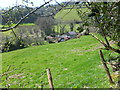 Unnamed house and outbuildings