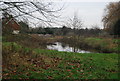 Pond, Great Weddington Farm