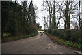 TR2959 : Lane by Weddington Farm by N Chadwick