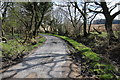 Country road above Cwm y Meirch