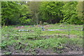 Allotment and Bee Hives, Langsett Road South, Oughtibridge, Sheffield - 1