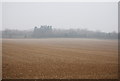 Farmland, Boughton Aluph