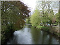 River Tavy, Tavistock