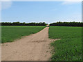 Footpath on the Fingringhoe Gravel Pit Trail