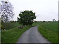 TM3686 : Entrance to Church Farm & Church Farmhouse by Geographer