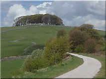 SK1556 : Tissington Trail and Johnson's Knoll by Andrew Hill