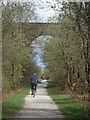 SK1657 : High bridge over the Tissington Trail by Andrew Hill