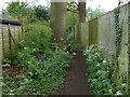 Footpath, Burntcommon