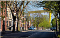 J3573 : Templemore Avenue, Belfast (2013) by Albert Bridge