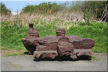 NT1870 : Carved Bench by Anne Burgess