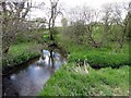 Briggle Beck near Briggle Bridge