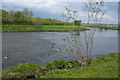 The River Ribble