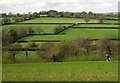 Farmland near Mildon