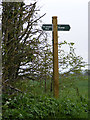 TM3788 : Gull Lane Byway sign by Geographer