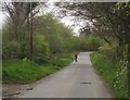 Lane past Plymptons Farm