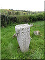 J0114 : The grave of Peadar Ã DoirnÃ­n, major Gaelic poet, at Urney graveyard by Eric Jones