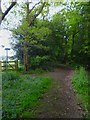 Bridleway east of Brockhurst Wood passes footpath junction