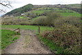 View to Pen-y-gareg