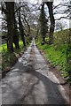 Country road near Talley