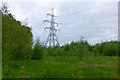 Pylon and scrub