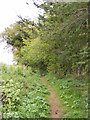 Footpath to Lodge Farm Lane