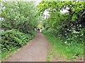 Thames Path at Teddington