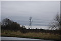TL3705 : Pylon in the Lea Valley by N Chadwick