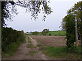 TM4088 : Bridleway to Lodge Farm Lane by Geographer