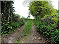 Track between fields near Abergavenny