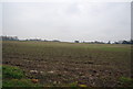 Farmland, Brookestreet Farm