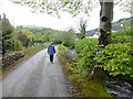 Path beside Gortin Burn