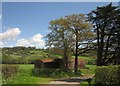 Barns, Sheafhayne Manor Farm