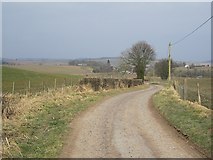 NO3910 : Cassindilly farm road by Richard Webb
