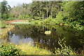 Slipper Tarn