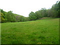 Meadow near Nant y Bella